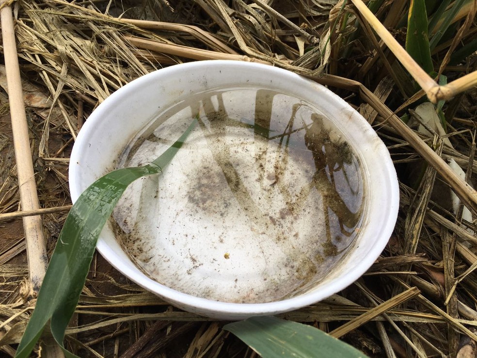 Ferrovia est&aacute; abandonada em Presidente Prudente (Foto: Wellington Roberto/G1)