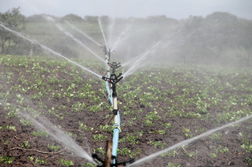 Produção agrícola é a que mais gasta água no mundo — Foto: Pixabay