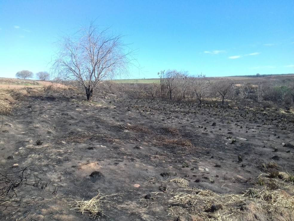 Usina levou multas de mais de R$ 360 mil em Adamantina &mdash; Foto: Pol&iacute;cia Militar Ambiental