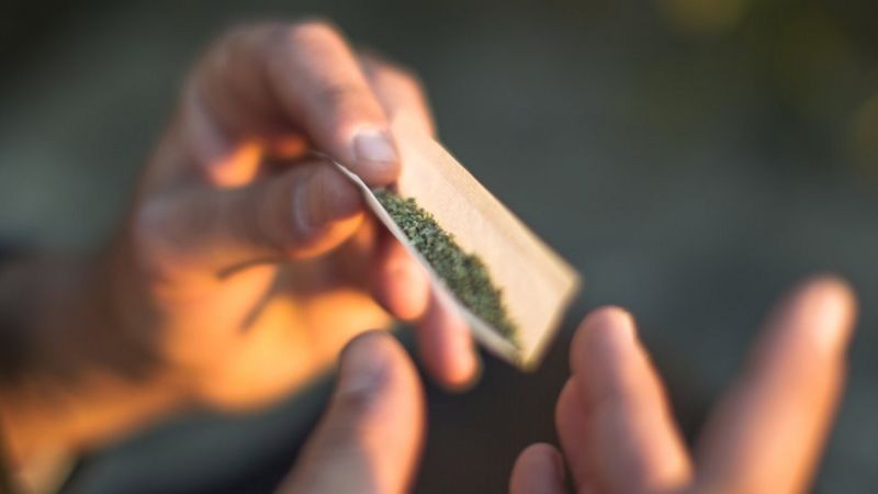 Em 2018, cerca de 192 milhões de pessoas, entre 15 e 64 anos, usaram cannabis para fins recreativos (Foto: Getty Images via BBC News)