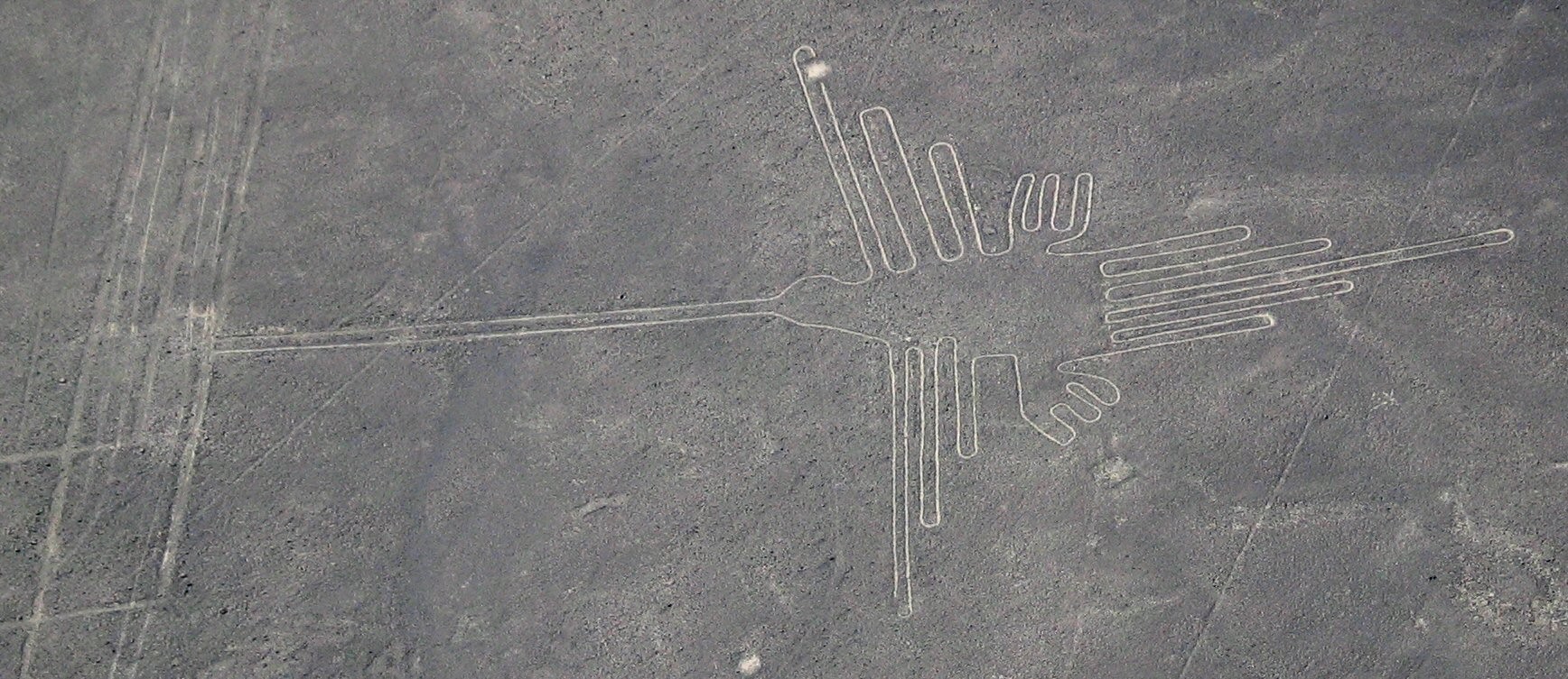 Uma das linhas de Nazca retrata um pássaro (Foto: Wikimedia Commons)