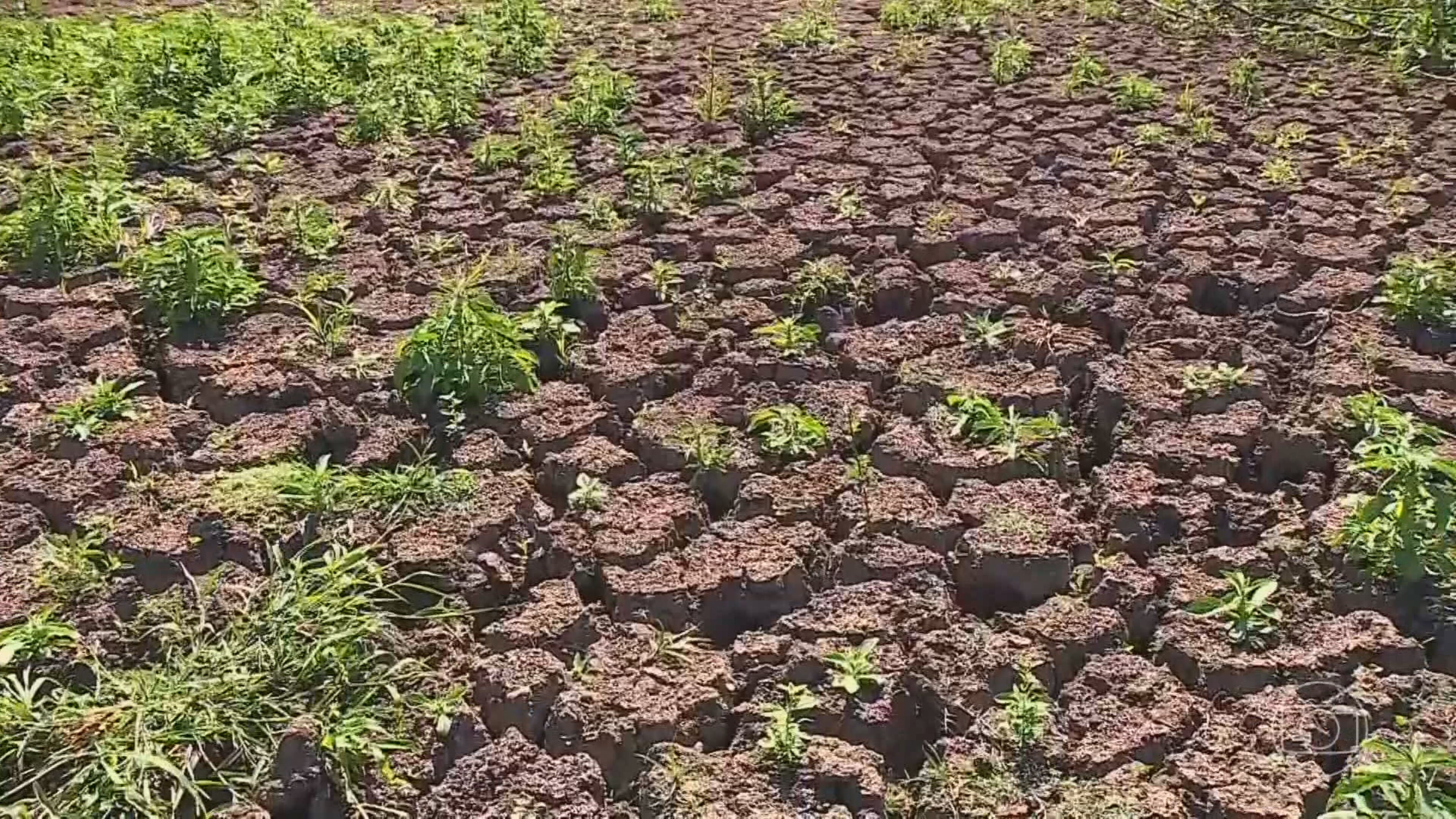 Governo Federal Reconhece Situação De Emergência Em Mais Sete Cidades Do Rs Afetadas Pela 