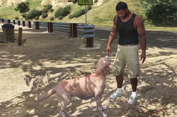 Capaz de se comunicar com Franklin, cão aparece em divrsos locais (Foto: Reprodução)