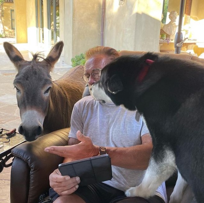 Arnold Schwarzenegger posa ao lado de burro e cão de estimação  (Foto: Reprodução/Instagram)