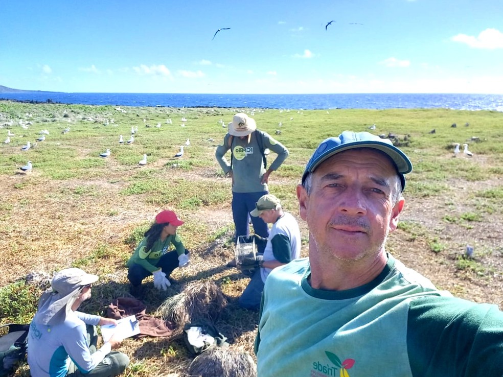 Servidores do ICMBio e pesquisadores realizam o trabalho na Ilha Rata  — Foto: ICMBio/Divulgação