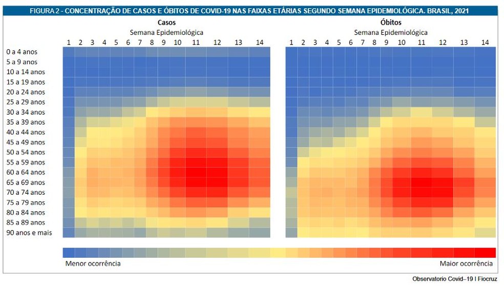Concentração de casos e óbitos por Covid nas faixas etárias segundo semana epidemiológica — Foto: Fiocruz/Reprodução