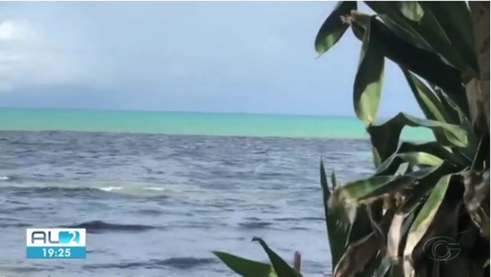 Mancha escura foi flagrada por telespectador no mar da praia de Riacho Doce, em Maceió — Foto: Reprodução/TV Gazeta