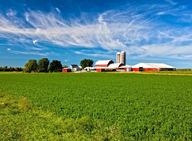 agricultura_soja_estados_unidos (Foto: Shutterstock)