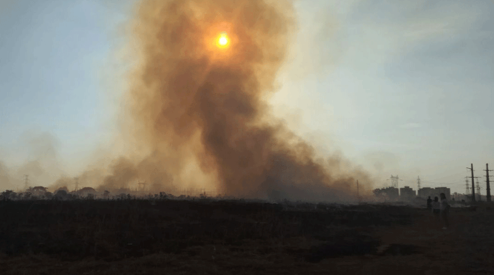 Fogo atinge região próxima à Estação de Furnas, no DF (Foto: Marília Marques/G1)