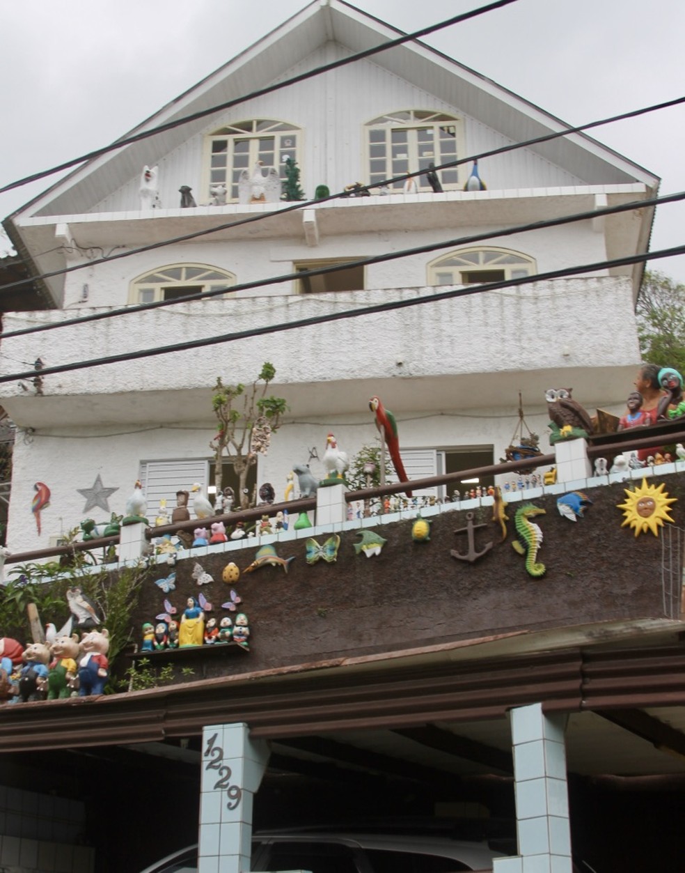 Casa dos Bichinhos fica em Florianópolis — Foto: Anaísa Catucci/ G1 SC