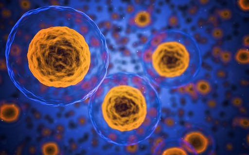Cientistas analisam como a morte se espalha por nossas células