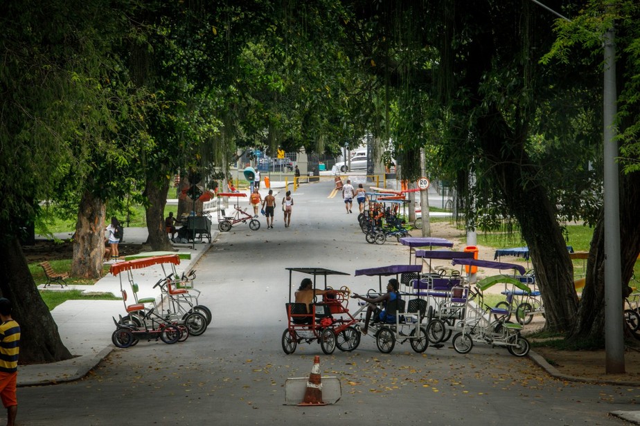 Bicicletas são alugadas para passeios pela Quinta da Boa Vista, em São Cristóvão: serviços no parque poderão ser explorados por vencedor de licitação