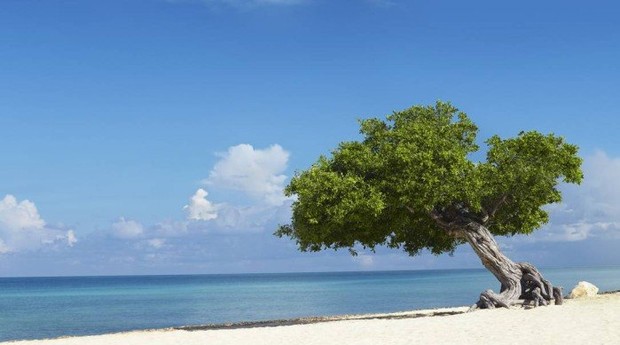 Praia de Eagle, em Aruba, no Caribe. (Foto: Reprodução/O Globo)