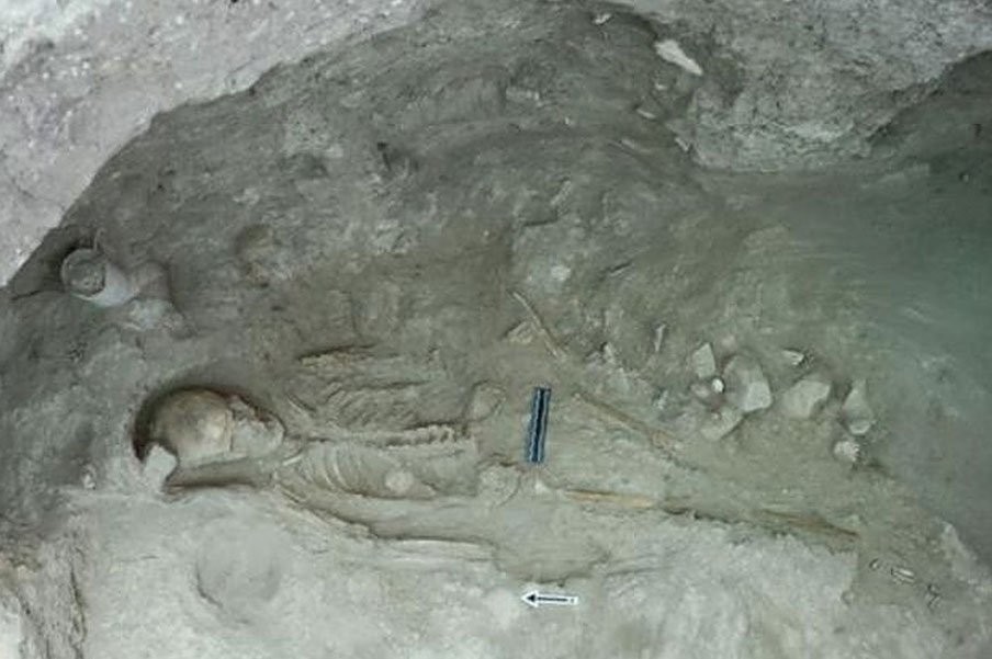 52 esqueletos foram encontrados em escavação liderada pela Universidade de Gotemburgo (Foto: Peter Fischer / Universidade de Gotemburgo)