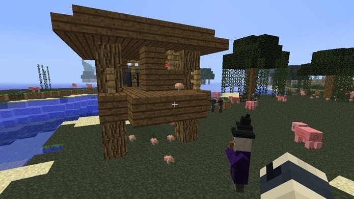 Bruxas podem ser encontradas em biomas de p?ntano e perto de suas cabanas em Minecraft (Foto: YouTube)