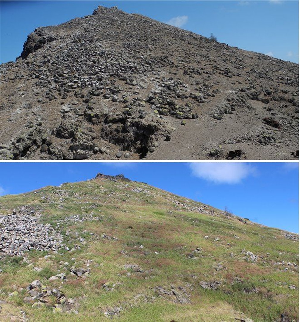 Fotos tiradas em 2012 (acima) e 2020 (embaixo) mostram a transformação da ilha — Foto: Jenny Daltry e Cole White