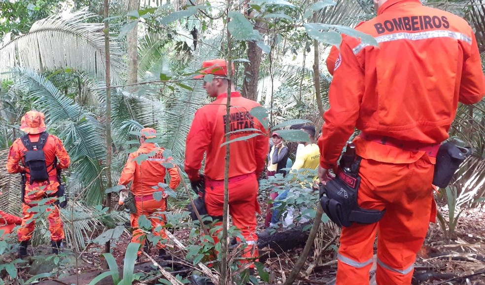 Bombeiros percorrem mata fechada em busca de homem desaparecido em Jaru, RO — Foto: Reprodução/CBM