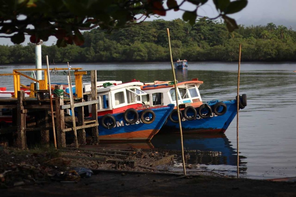 Ilha Diana, a 8 quilômetros do Porto de Santos, tem suas belezas naturais preservadas (Foto: João Amaro)