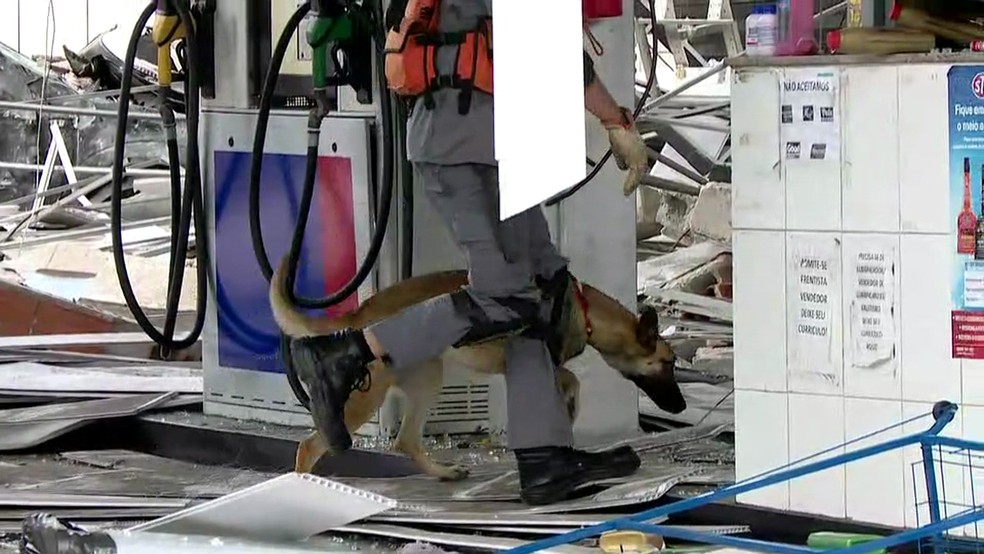Cachorro faz buscas em posto de gasolina (Foto: ReproduÃ§Ã£o/TV Globo )