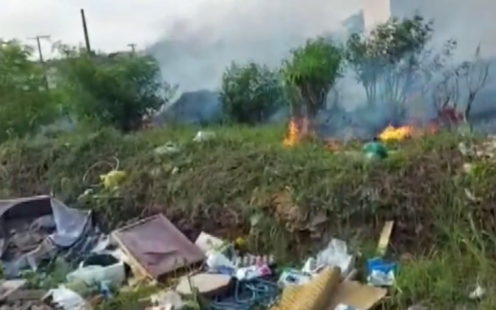 Incêndio em terreno se aproxima de casas e gera transtornos em Ribeirão Preto, SP 
