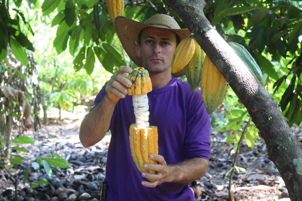 André Luiz Vicente precisou se adequar às práticas para o cultivo do cacau.  (Foto: Gedeon Miranda/ G1)