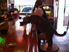 Barman serve copo de leite após gato se sentar em balcão de bar nos EUA