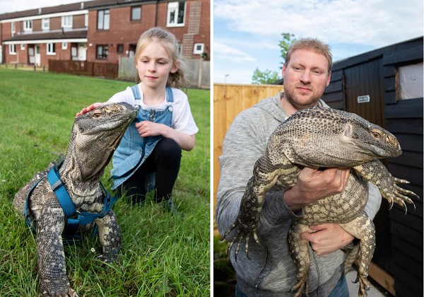 Rex vive como um pet com uma família da Inglaterra (Foto: Reprodução Metro/SWNS)