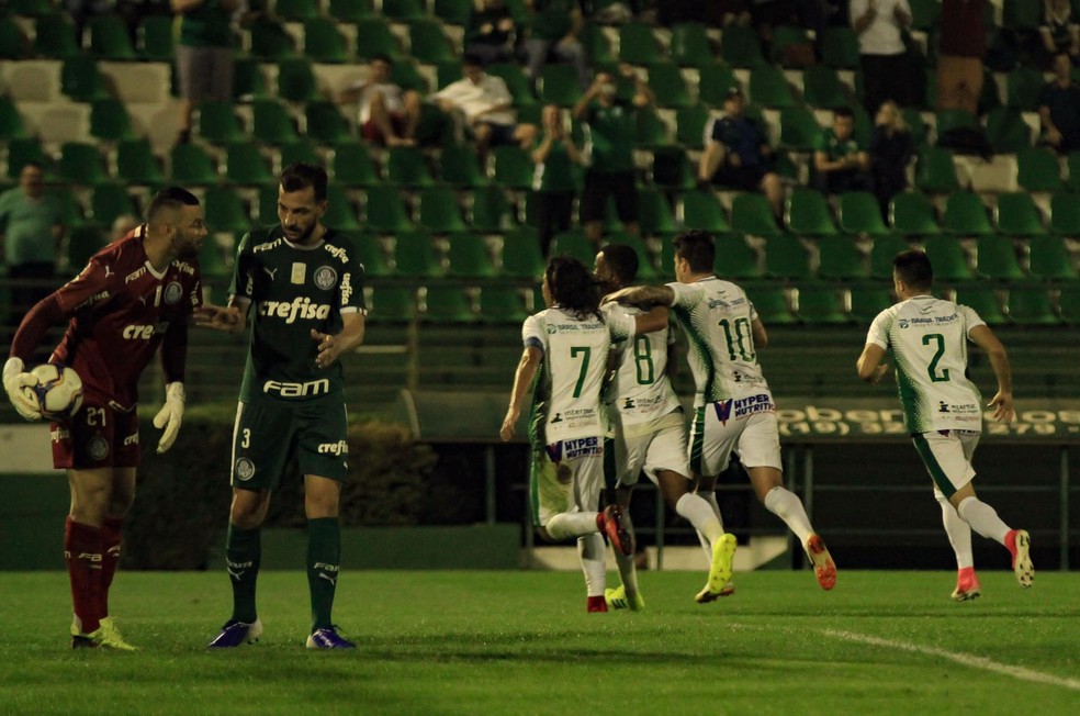 Guarani venceu amistoso contra o Palmeiras — Foto: Letícia Martins / Guarani FC
