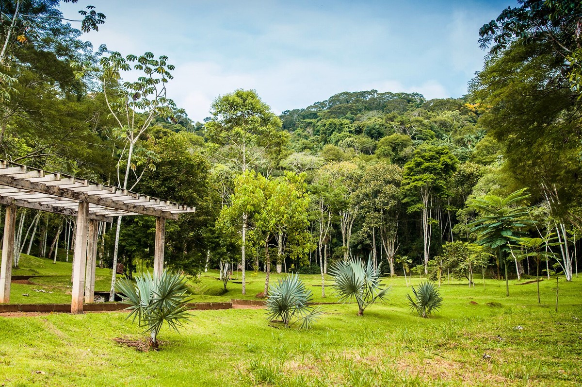 Jardim Botânico abre período para agendamento de ensaios ...