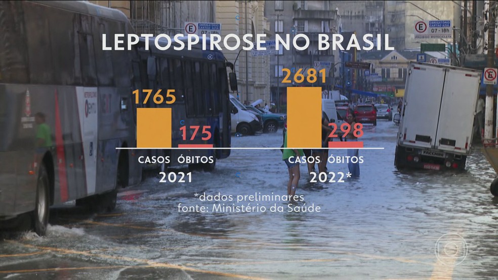 Números da leptospirose no Brasil — Foto: JN