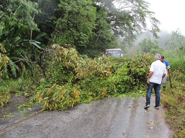 Estrada bloqueada por causa de quedas de árvores e deslizamentos (Foto: Júpter Darwin Furquim/Arquivo Pessoal)