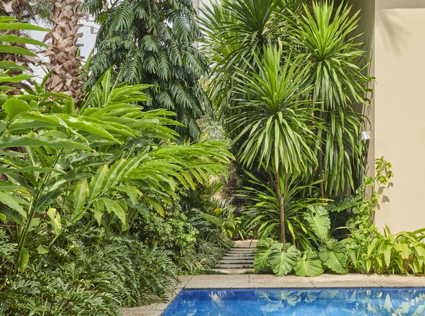 Jardim de 300 m² em SP é inspirado na Mata Atlântica e prioriza folhagens nativas (Foto: Guto Seixas @gutoseixas)