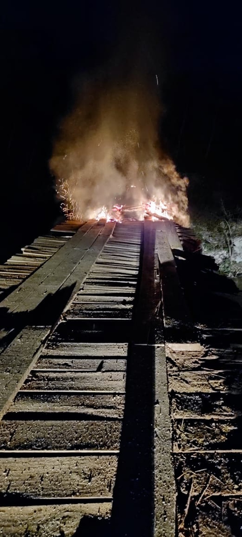 Ponte foi incendiada por suspeitos no parque Guajará-Mirim — Foto: WhatsApp/Reprodução