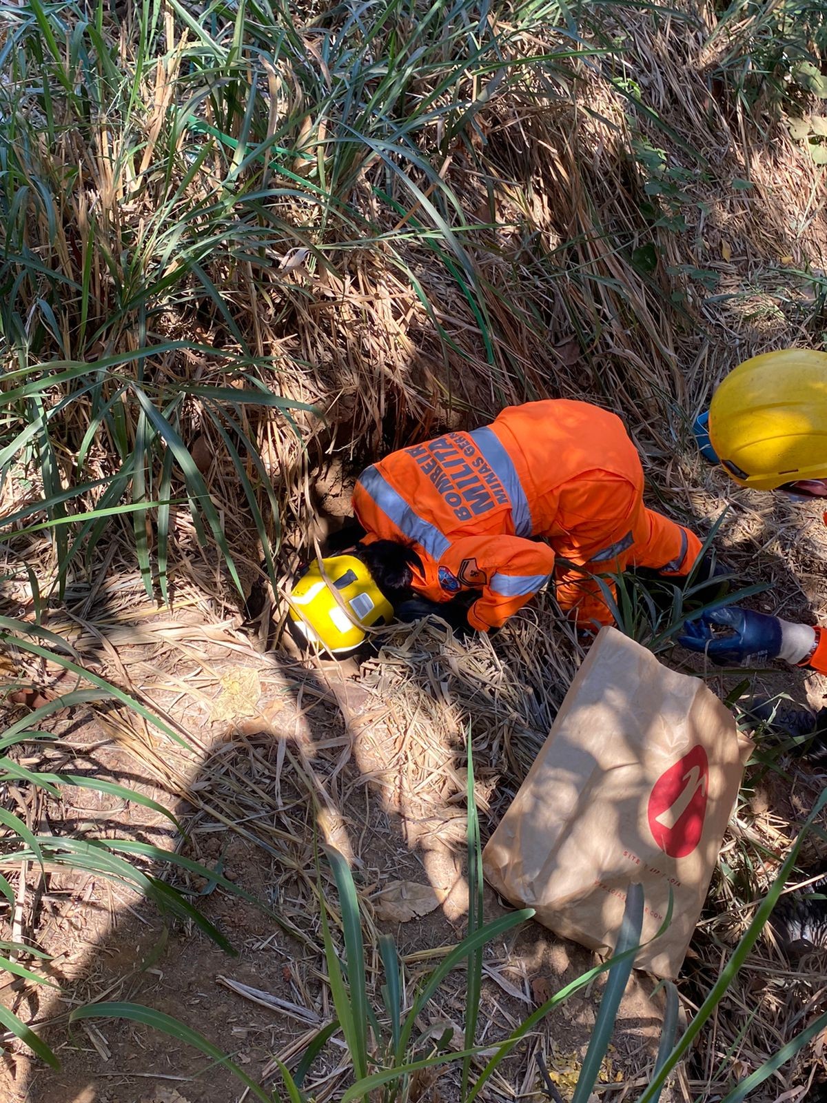 Bombeiros resgatam cinco filhotes de cachorro em vala dentro de parque, em Montes Claros