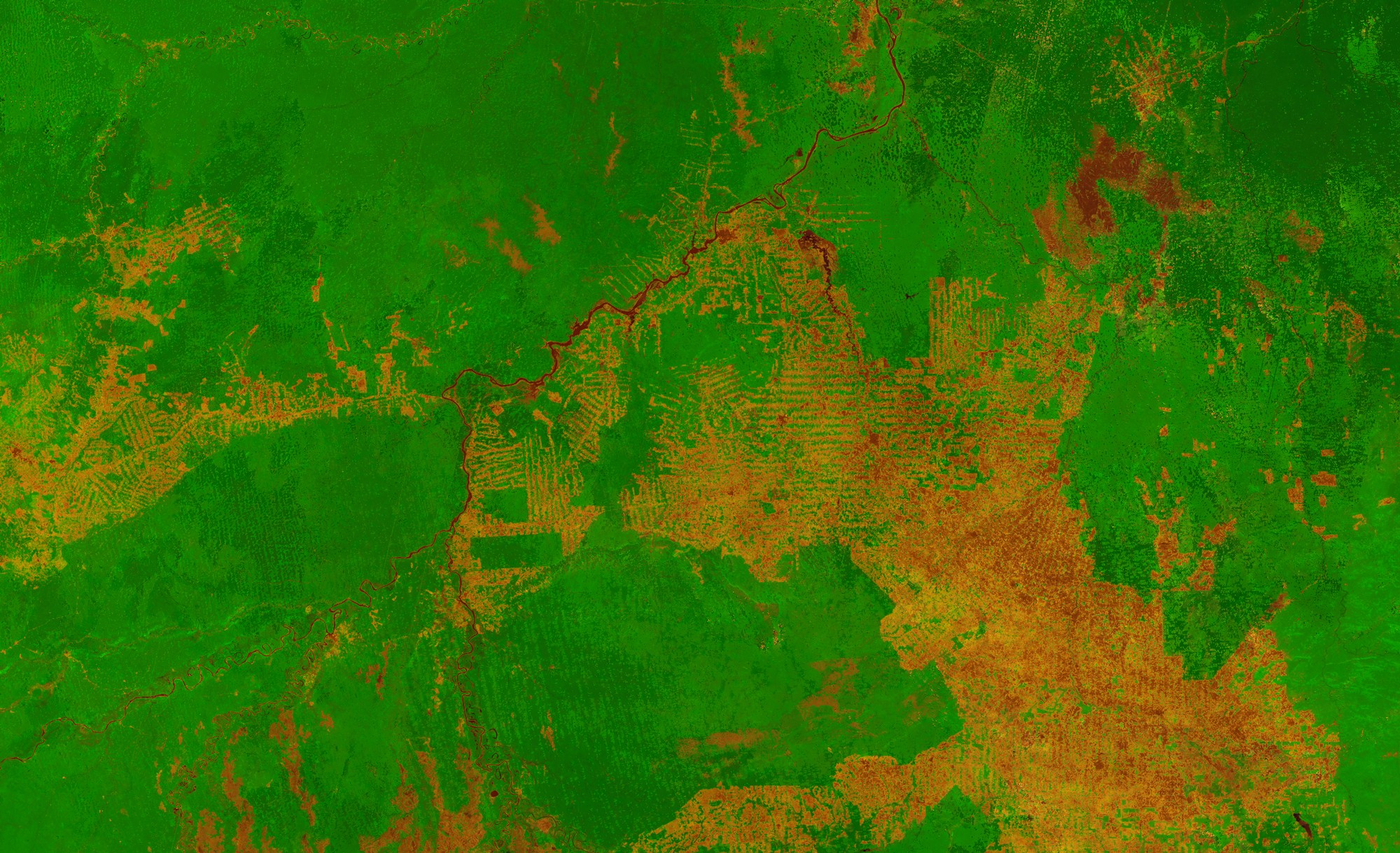 Áreas desmatadas são aquelas que aparecem em marrom (Foto: ESA/VITO)