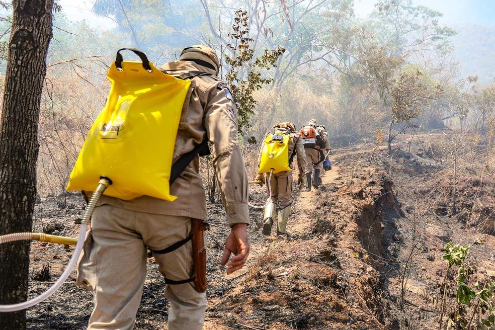 Ventos fortes e tempo seco prejudicam o combate — Foto: Luiz Henrique Machado/Corpo de Bombeiros