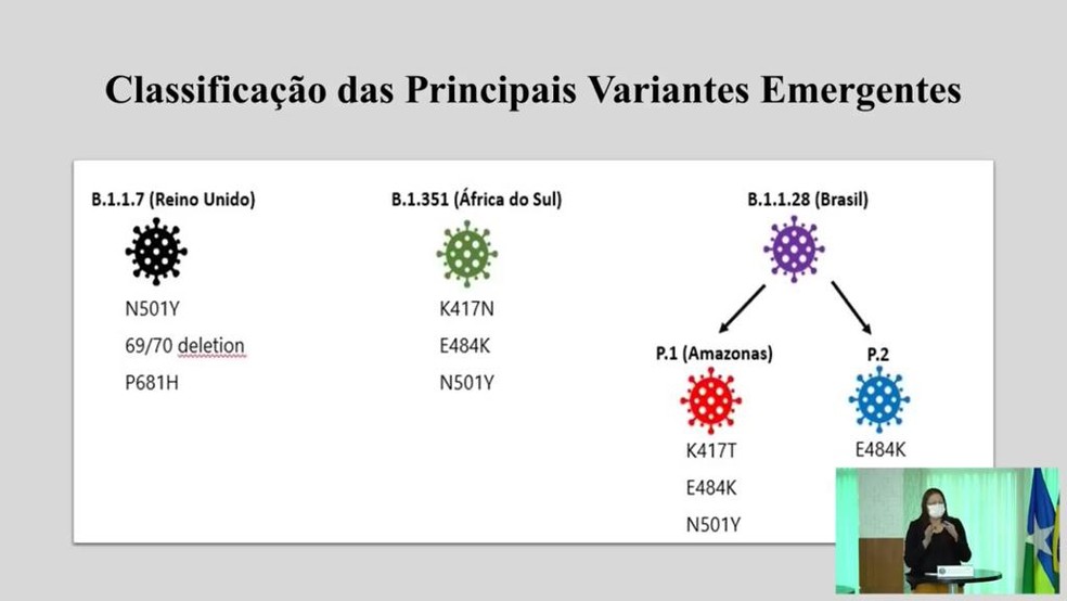 Classificação das principais variantes  — Foto: Reprodução/Governo de Rondônia