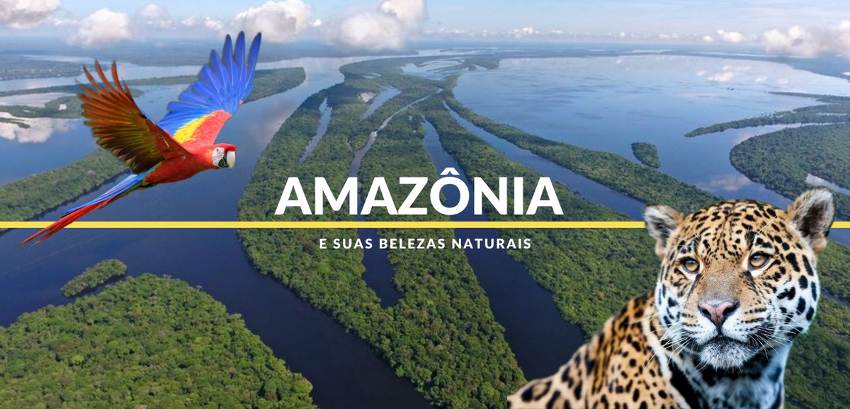 Amazônia: conheça algumas belezas naturais da região | Rede Amazônica ...