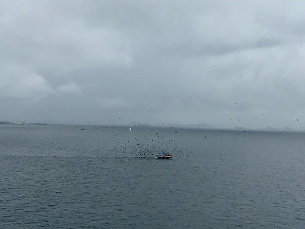 Tempo cinzento na Baía de Guanabara neste domingo — Foto: Káthia Mello/ G1 Rio 