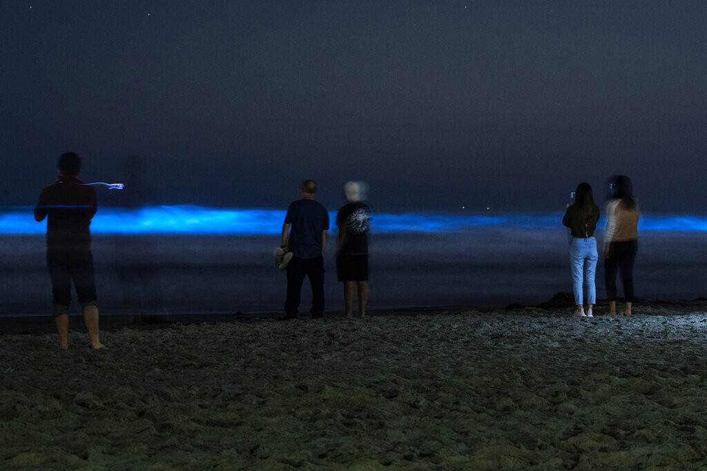 Ondas azul-metálicas e brilhantes iluminam praias do sul da Califórnia thumbnail