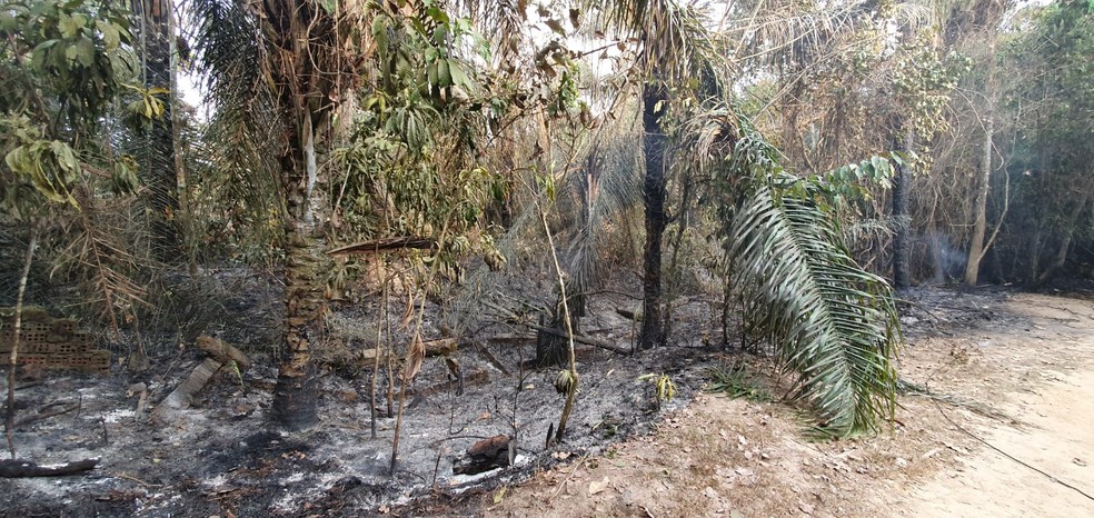 Chamas foram controladas pelos bombeiros — Foto: Andryo Amaral/Rede Amazônica Acre