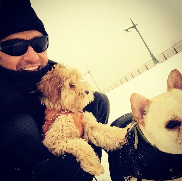 Hugh Jackman e seus cãezinhos, Allegra e Dali (Foto: Reprodução Instagram)