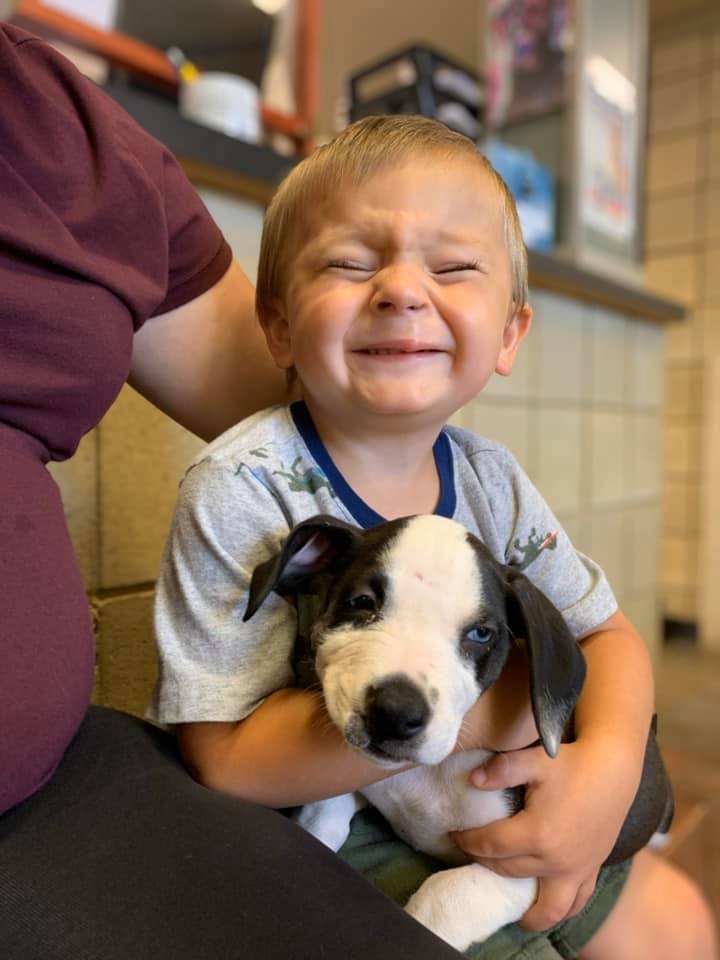 Menino com lábio leporino adota cachorrinha que nasceu com a mesma condição (Foto: Reprodução: Facebook / Jackson County Animal Shelter - Michigan)