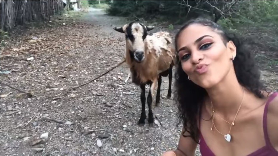 Mulher leva cabeçada de bode ao tentar selfie com o animal (Foto: Reprodução)