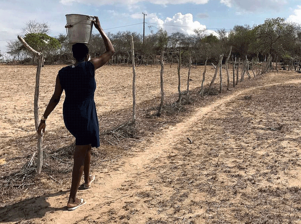  Nordeste enfrenta seca de cinco anos; moradores enfrentam perda de safra e mortes de animais (Foto: Alan Tiago Alves/G1)