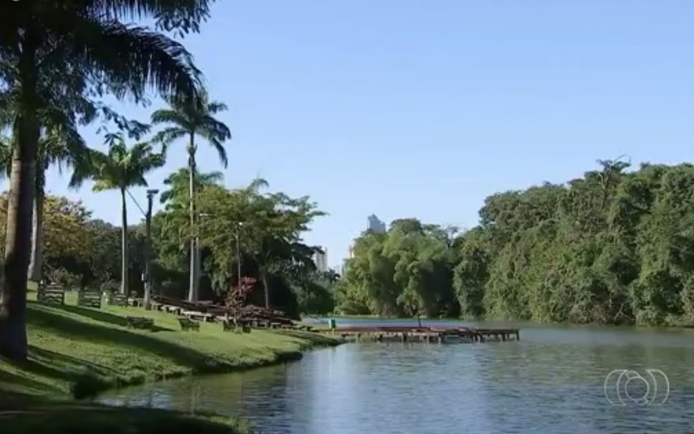 Conheça parques e bosques da Grande Goiânia que são opções de lazer nas ...