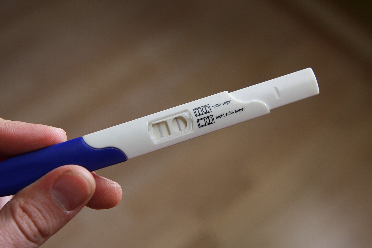 Cientistas afirmam que aplicativos de fertilidade não são eficazes (Foto: Pixabay)
