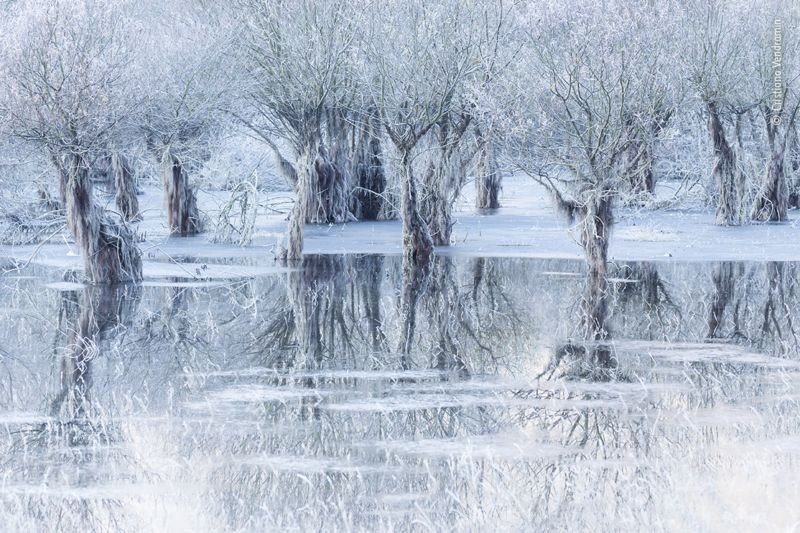 Um lago congelado reflete as árvores hibernando e cobertas de gelo em volta (Foto: Cristiano Vendramin via BBC News)