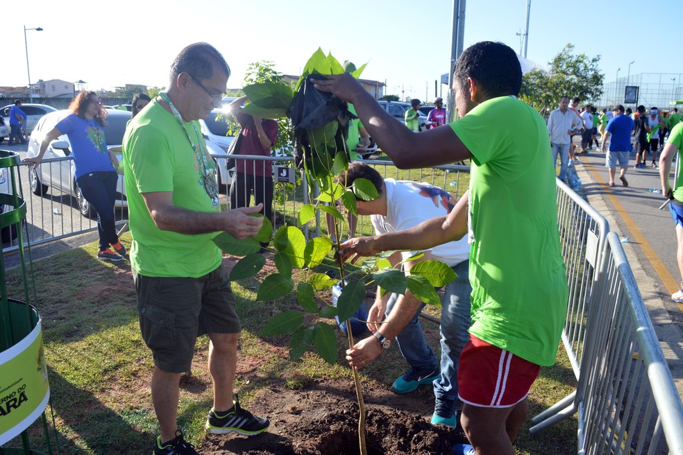 . O evento culminou com o plantio de uma muda de Ipê no canteiro central do Portal da Amazônia. (Foto: Divulgação/Agência Pará)