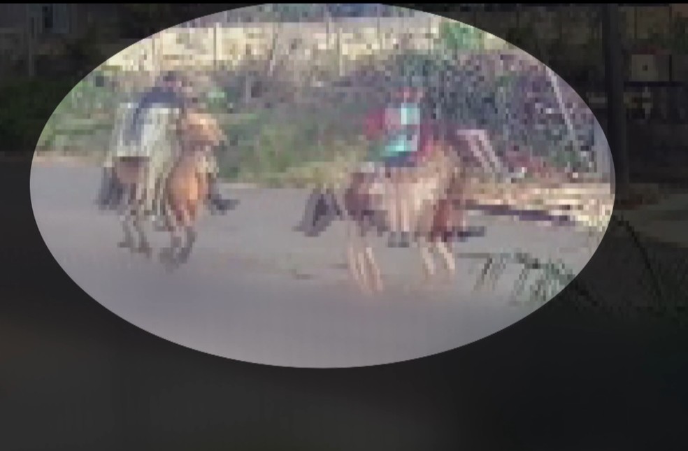 Suspeitos fogem a cavalo levando televisão roubada no Paraná — Foto: Reprodução/RPC
